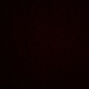 Meet your Posher, Shane